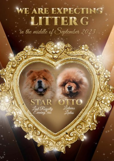 Star + Otto